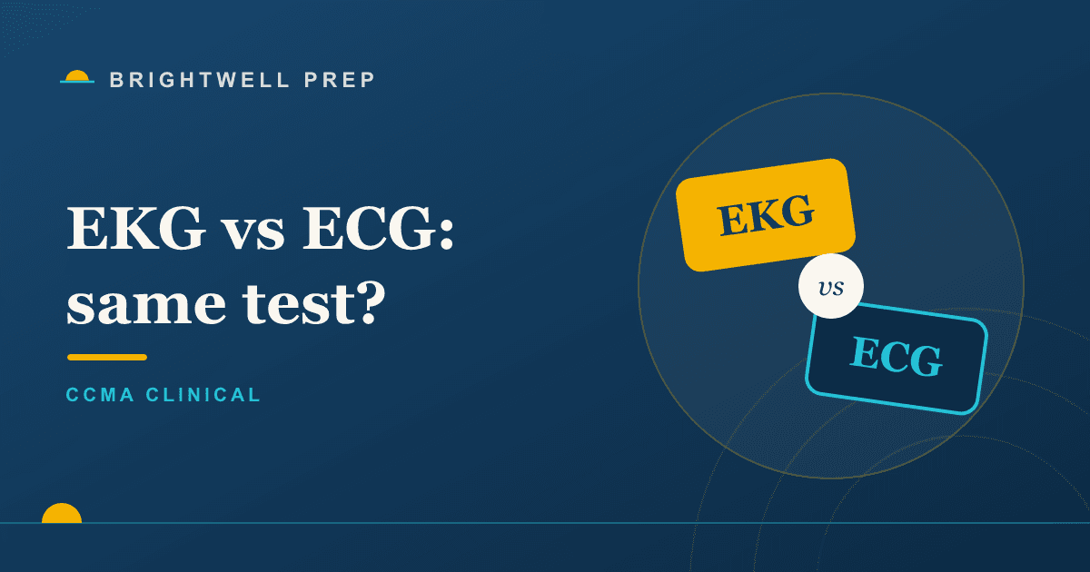 Difference Between EKG and ECG: Are They the Same Test?
